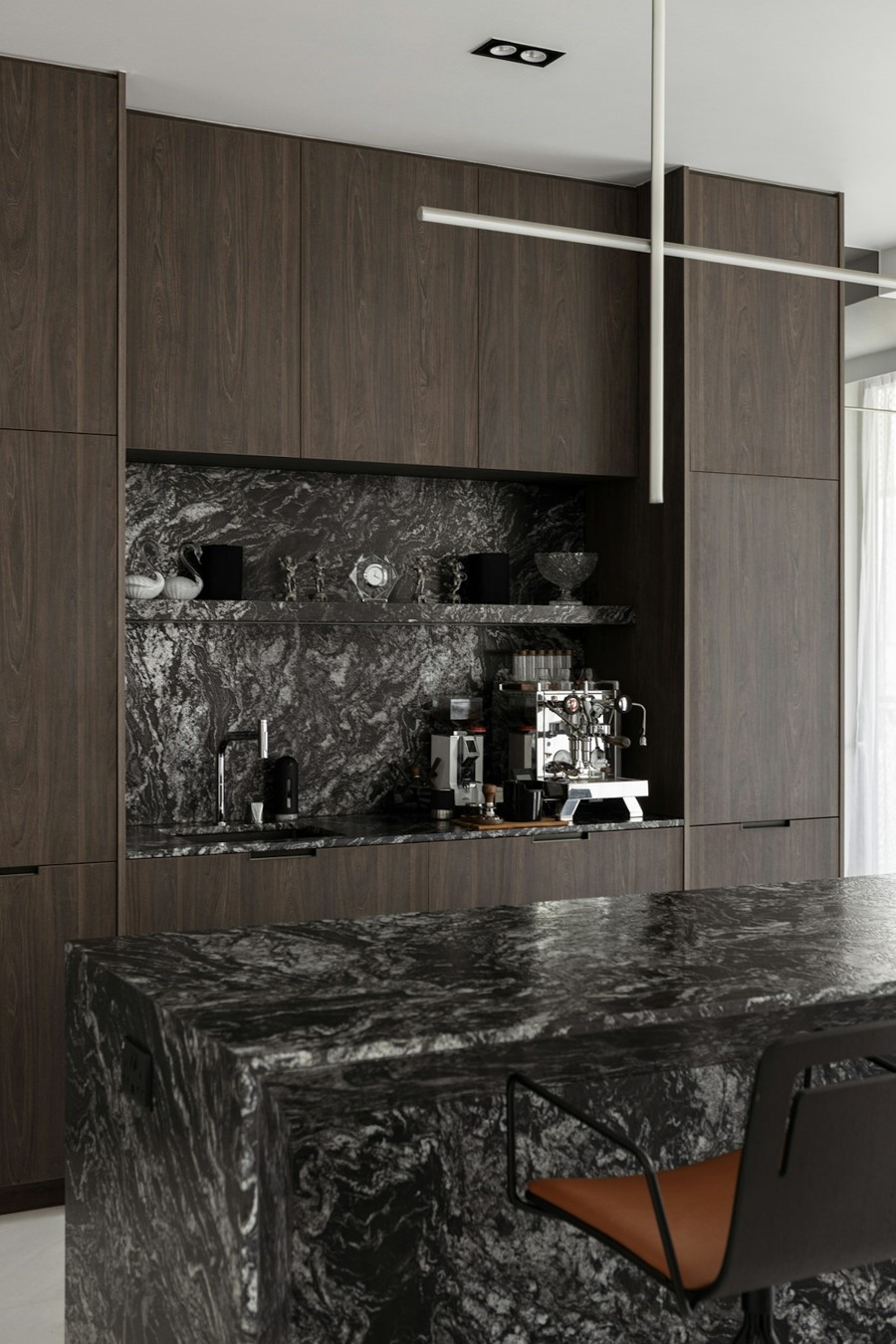 Black Beauty Black Beauty