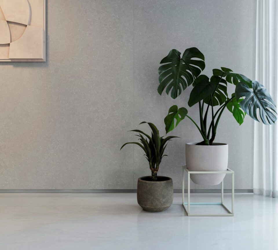 Earthc FFROM 01 Earthc FFROM 01