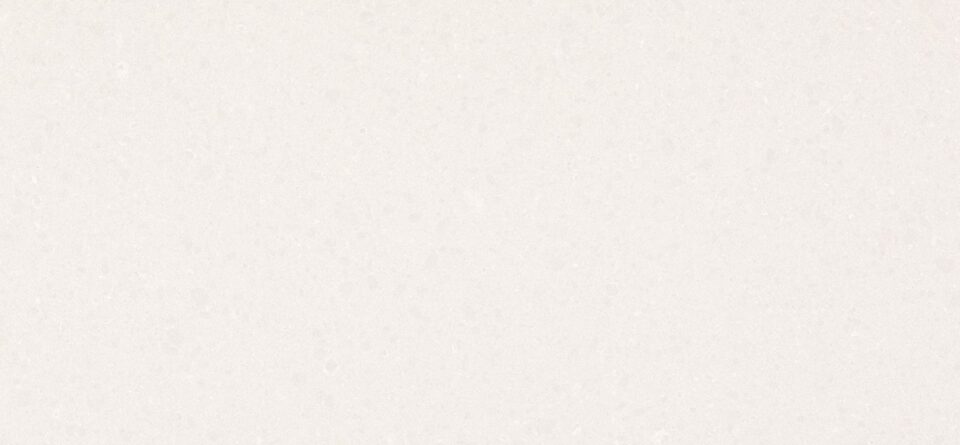 4600_OrganicWhite-Full-slab-1536x712 4600 OrganicWhite Full slab 1536x712 1