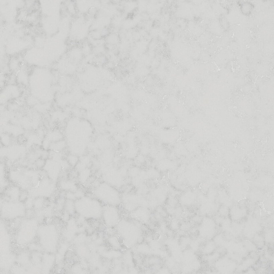 Morning Daisy Morning Daisy